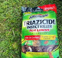 triazicide vs grubex