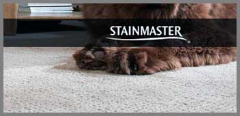 Stainmaster PetProtect Carpet