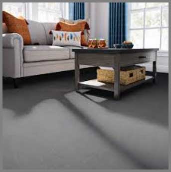 Stainmaster PetProtect Carpet