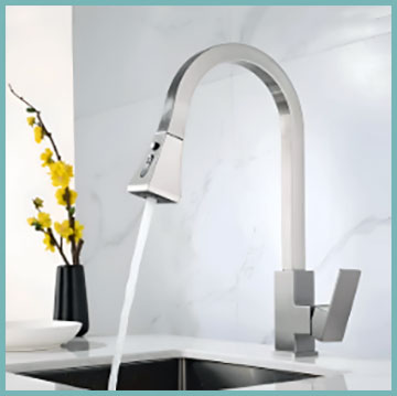 Paragon Faucets