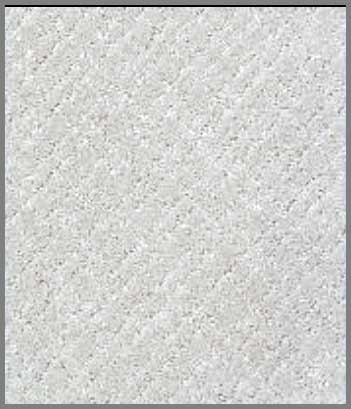 Stainmaster PetProtect Carpet