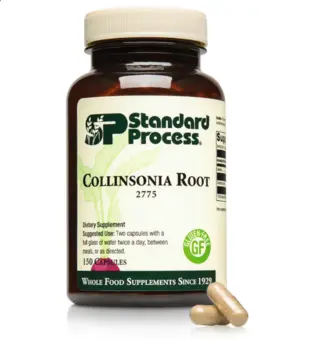 Collinsonia Root for Hemorrhoids