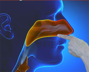 colloidal silver nasal spray reviews