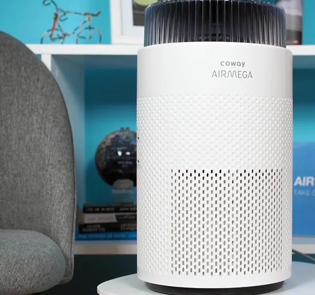 Coway Airmega Vs. Levoit