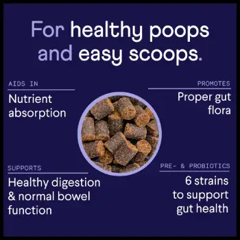 Finn Probiotics for Dogs