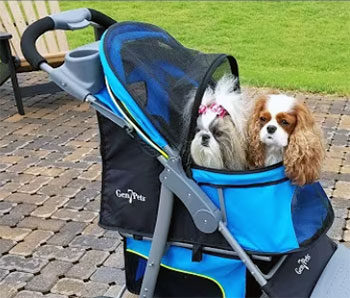 gen7 morocco premium dog stroller