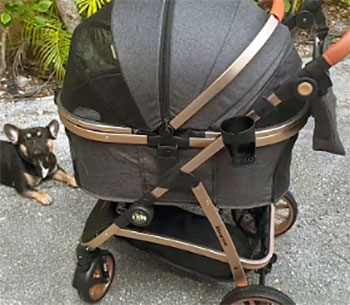 gen7 morocco premium dog stroller