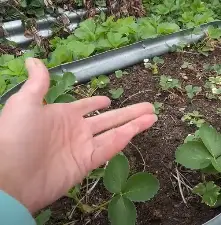 land guard raised bed reviews