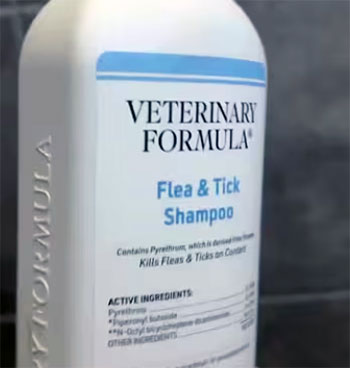 veterinary formula flea and tick shampoo