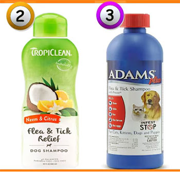 veterinary formula flea and tick shampoo