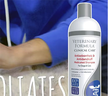 veterinary formula flea and tick shampoo