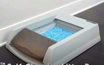Petsafe Scoopfree Litter Box