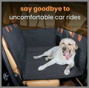 Ruff Rover Car Seat