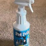 My Pet Peed