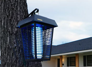 Flowtron Bug Zapper