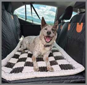Ruff Rover Car Seat