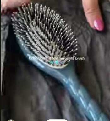 La Bonne Brosse
