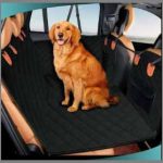 Ruff Rover Car Seat