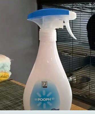 Pooph