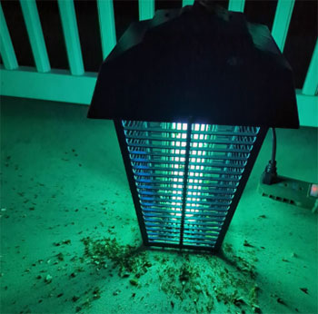 Flowtron Bug Zapper
