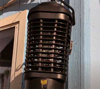 Black Flag Deluxe Bug Zapper