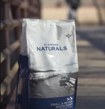 Diamond Naturals Skin and Coat