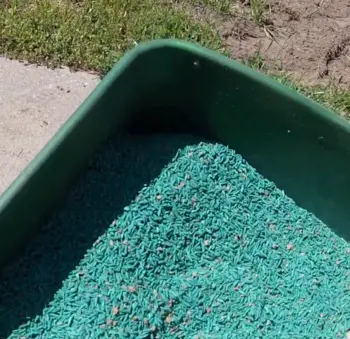 Pennington Sun and Shade Grass Seed