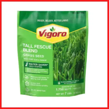 Vigoro Tall Fescue Blend