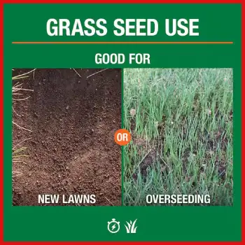 Vigoro Tall Fescue Blend