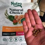 Nutro Natural Choice Dog Food