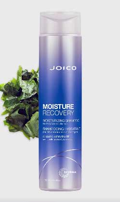 Joico Moisture Recovery Shampoo
