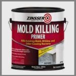 Zinsser Mold Killing Primer