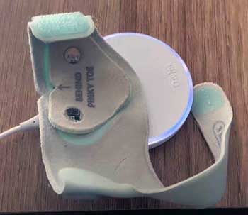 Owlet Dream Sock