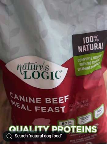Nature's Logic Dog Food