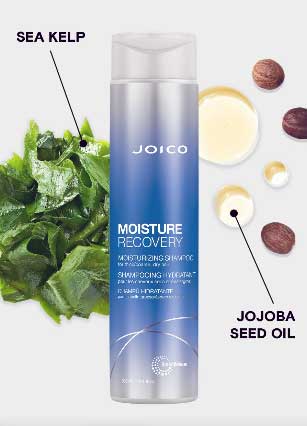 Joico Moisture Recovery Shampoo