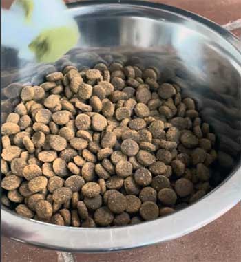 Ruff Greens For Dogs