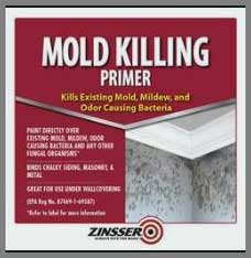 Zinsser Mold Killing Primer