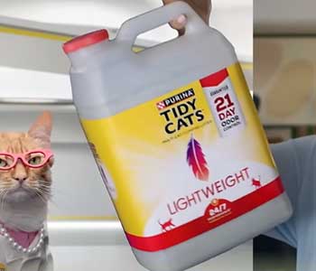 Tidy Cats Cat Litter
