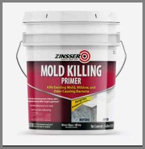 Zinsser Mold Killing Primer