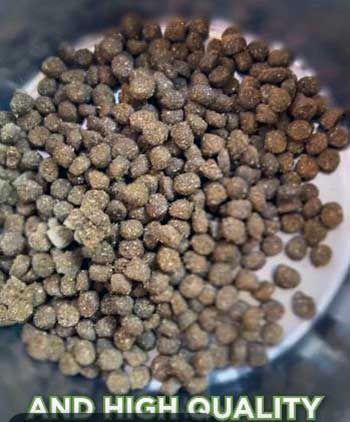 Nature's Logic Dog Food