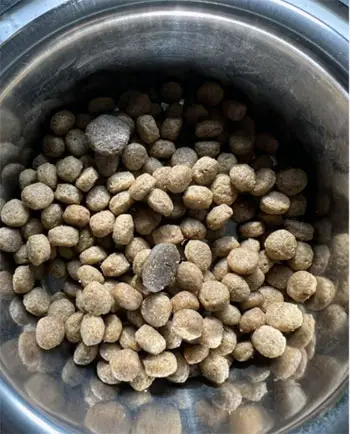 Nutro Natural Choice Dog Food