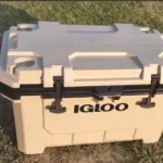 Igloo IMX 70 Qt Cooler