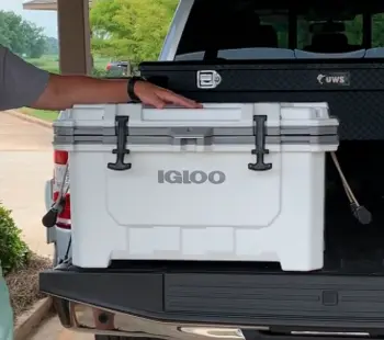 Igloo IMX 70 Qt Cooler