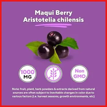 Vitapia Maqui Berry 1000mg