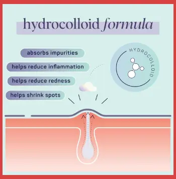 Spa Life Pimple Patches