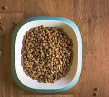 Dr. Pol Dog Food
