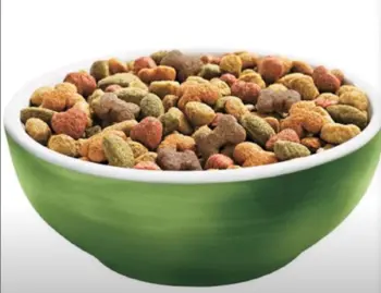 Purina Beneful Healthy Weight