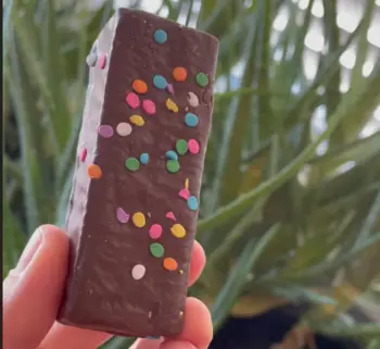 Pure Protein Galactic Brownie