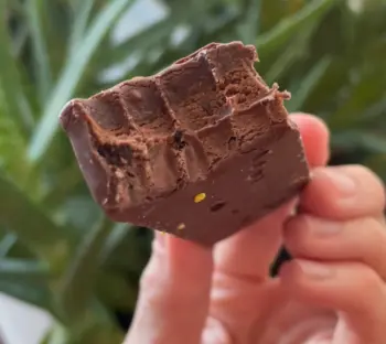 Pure Protein Galactic Brownie