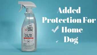 Skout's Honor Flea and Tick Spray